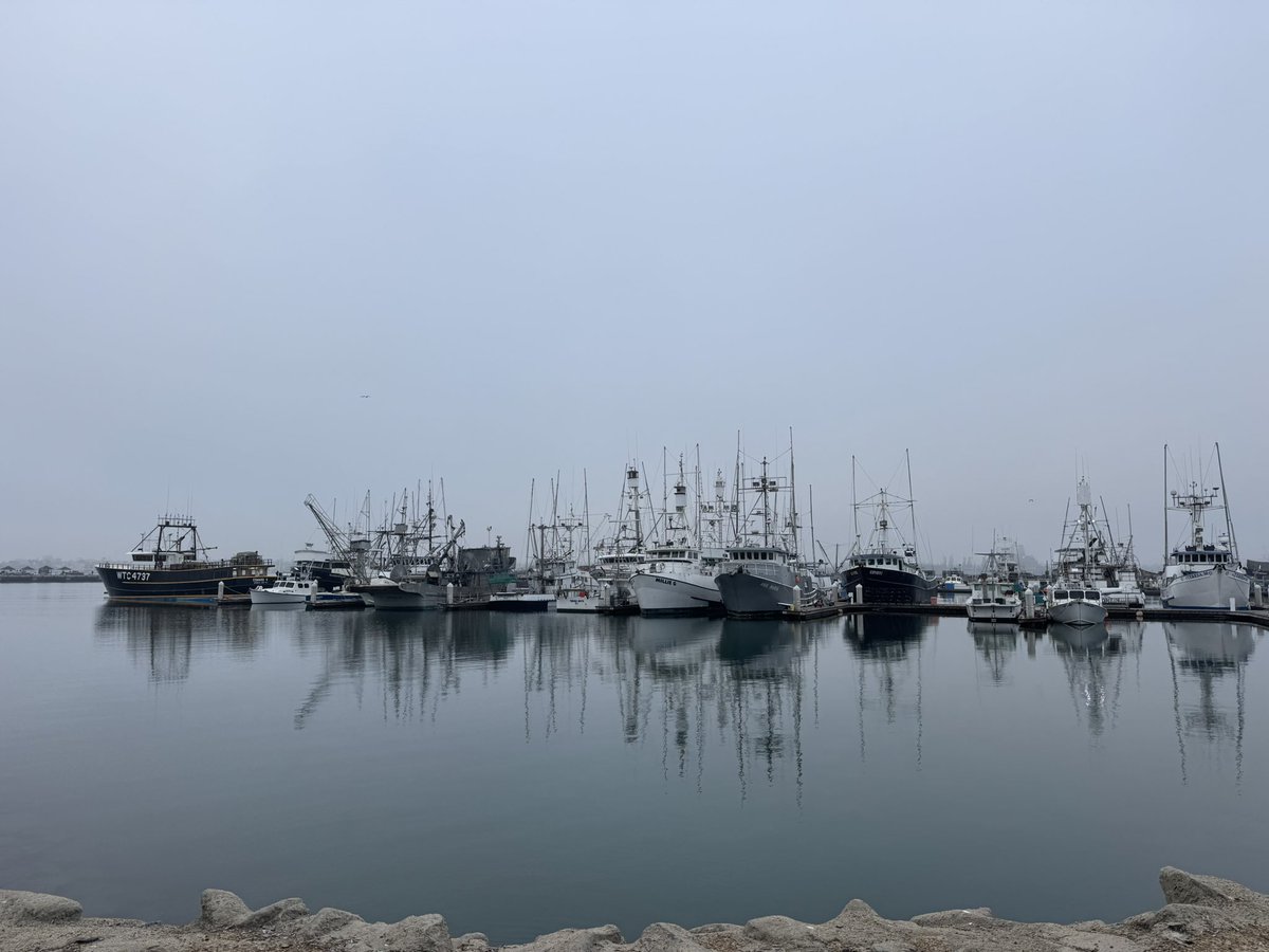 Coach Hop tweet media