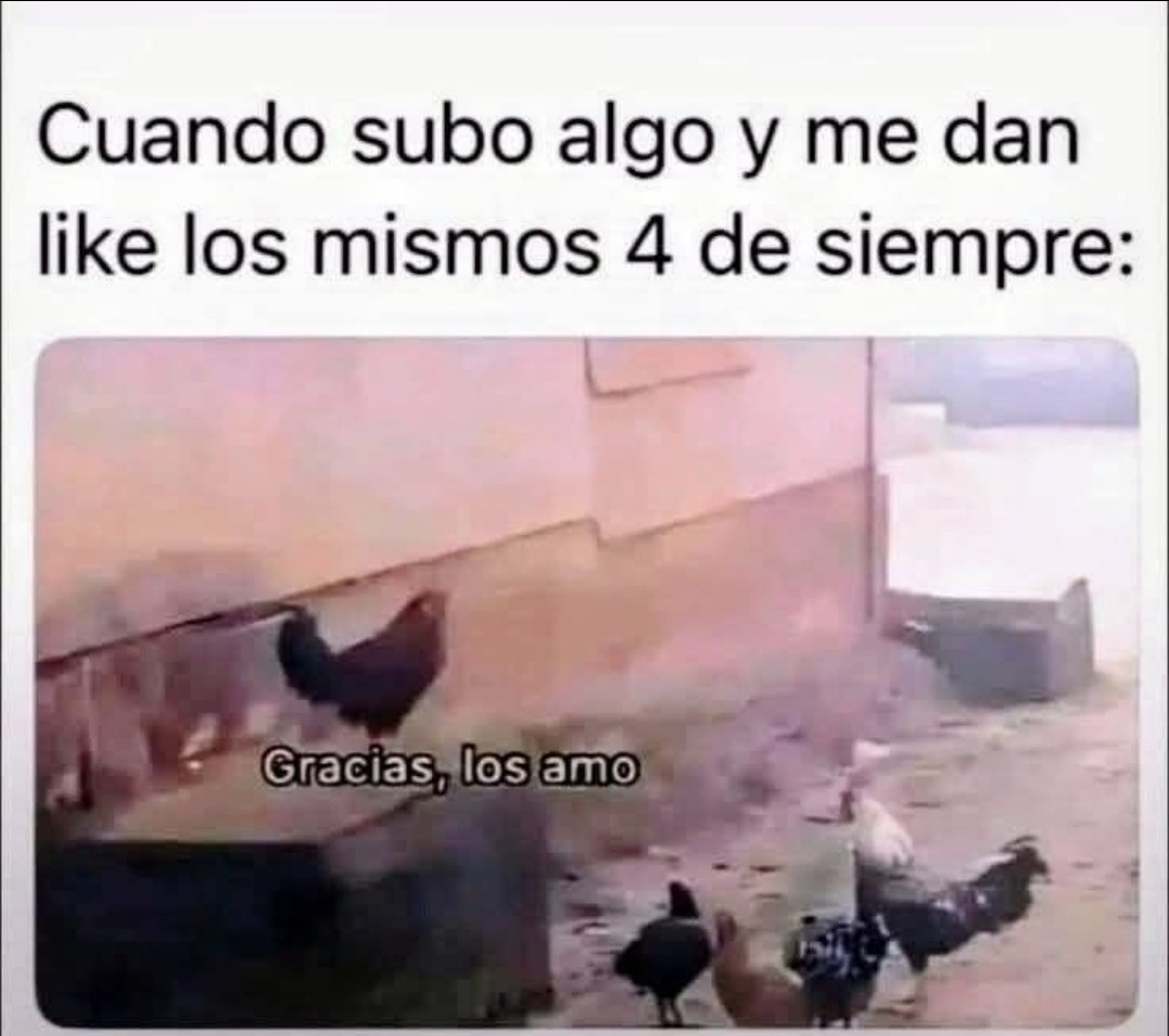 FRAENKEL ESCALANTE tweet media