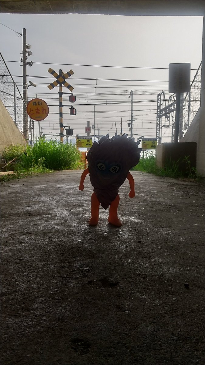 fotifotiwc's tweet photo. 散歩に行ってきました😄 https://t.co/Y40oUU4WrX