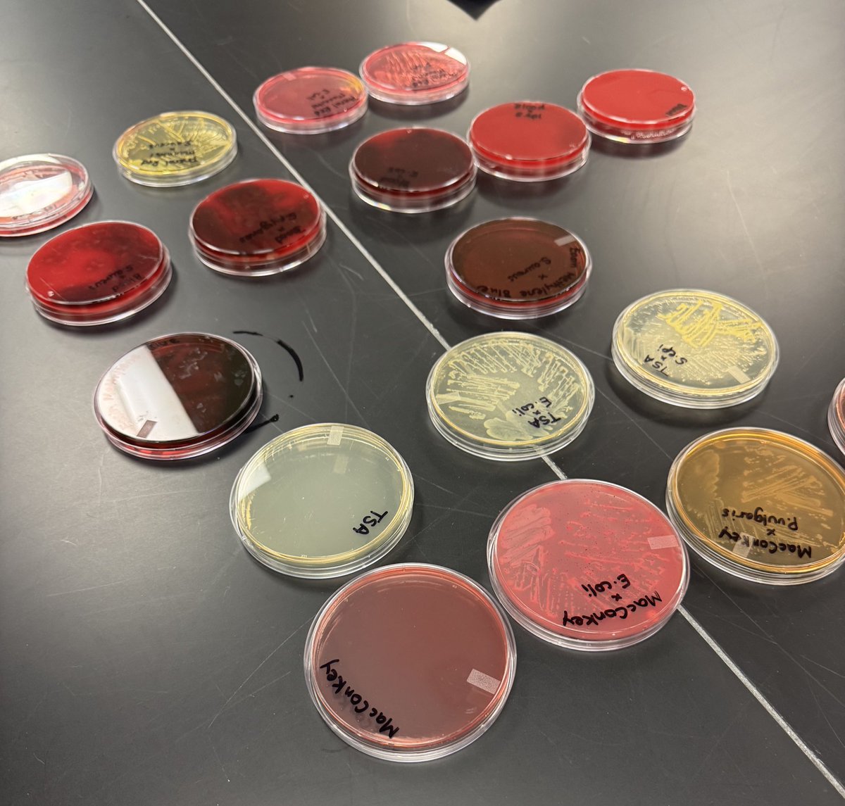 derpetta tweet media