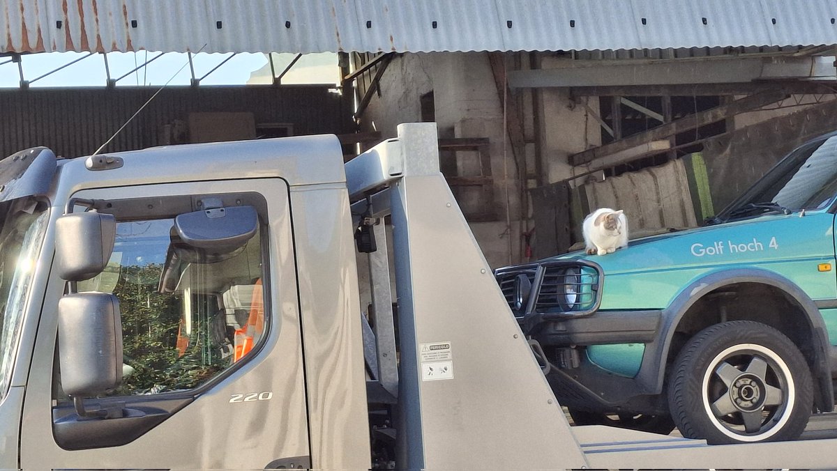 Giancarlo Sperandio tweet media