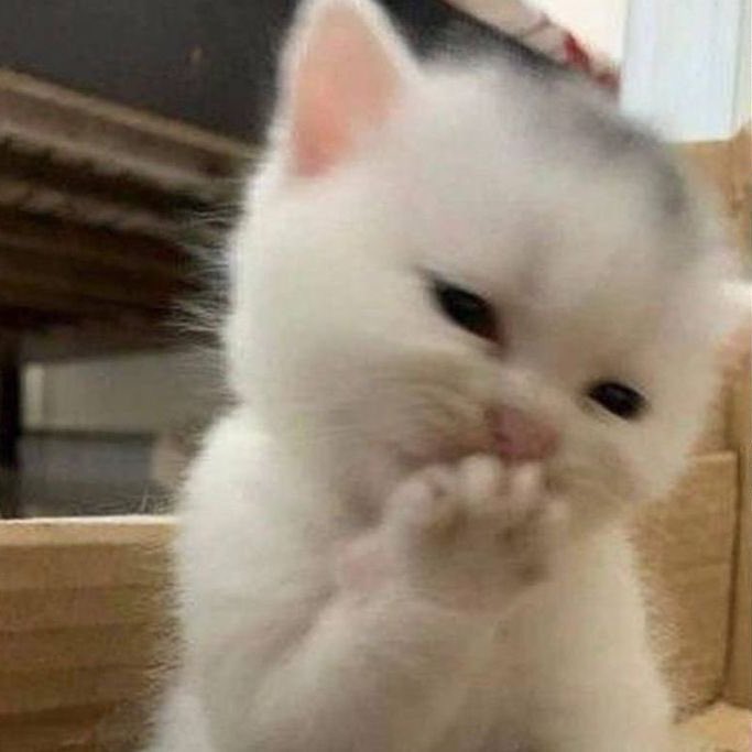 ketebak sih fans exo ot6 ngerusuh cuma buat caper nyari validasi dari baekhyun dan bbhls wkwk