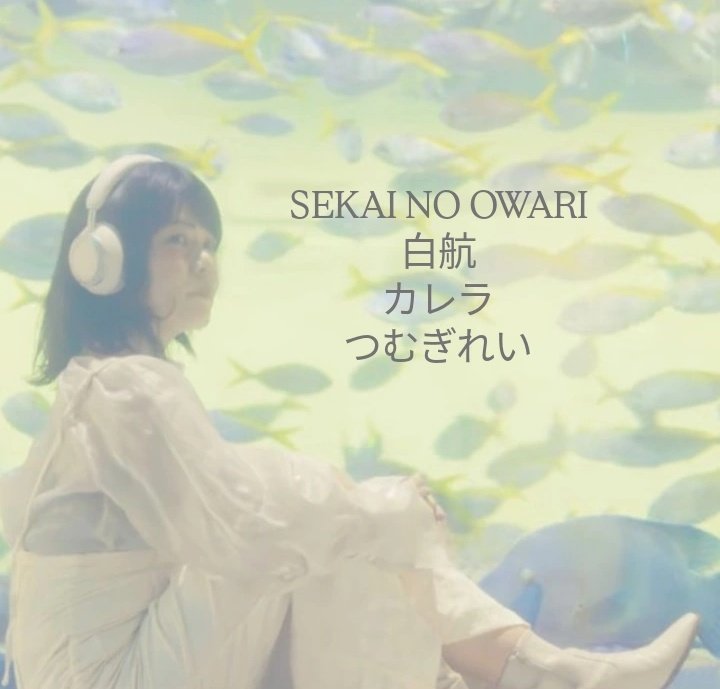 ふがぽん🌏 🔚🚢 tweet media