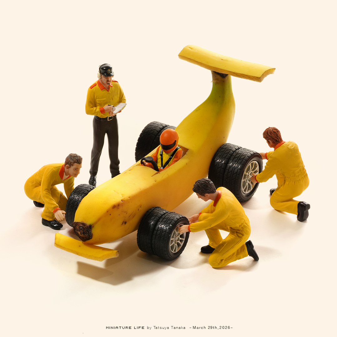 Tatsuya Tanaka 田中達也 tweet media