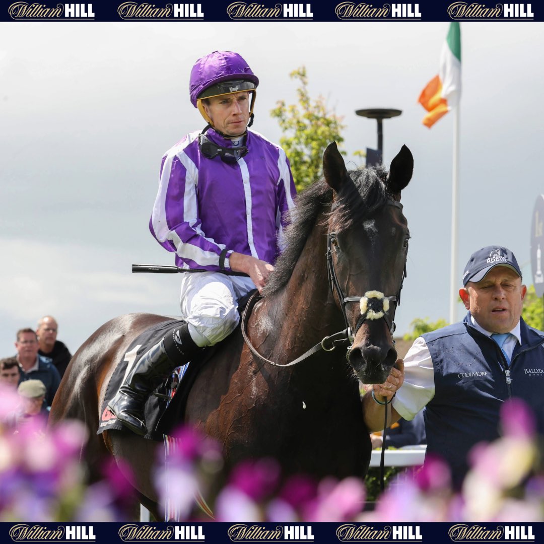 William Hill Racing tweet media