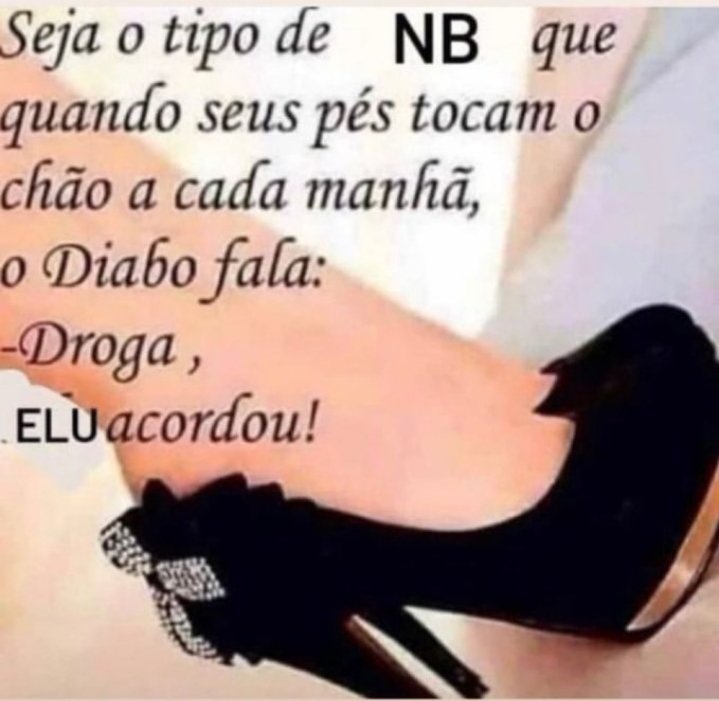 𝔱𝔬𝔫𝔫𝔶🪽 tweet media