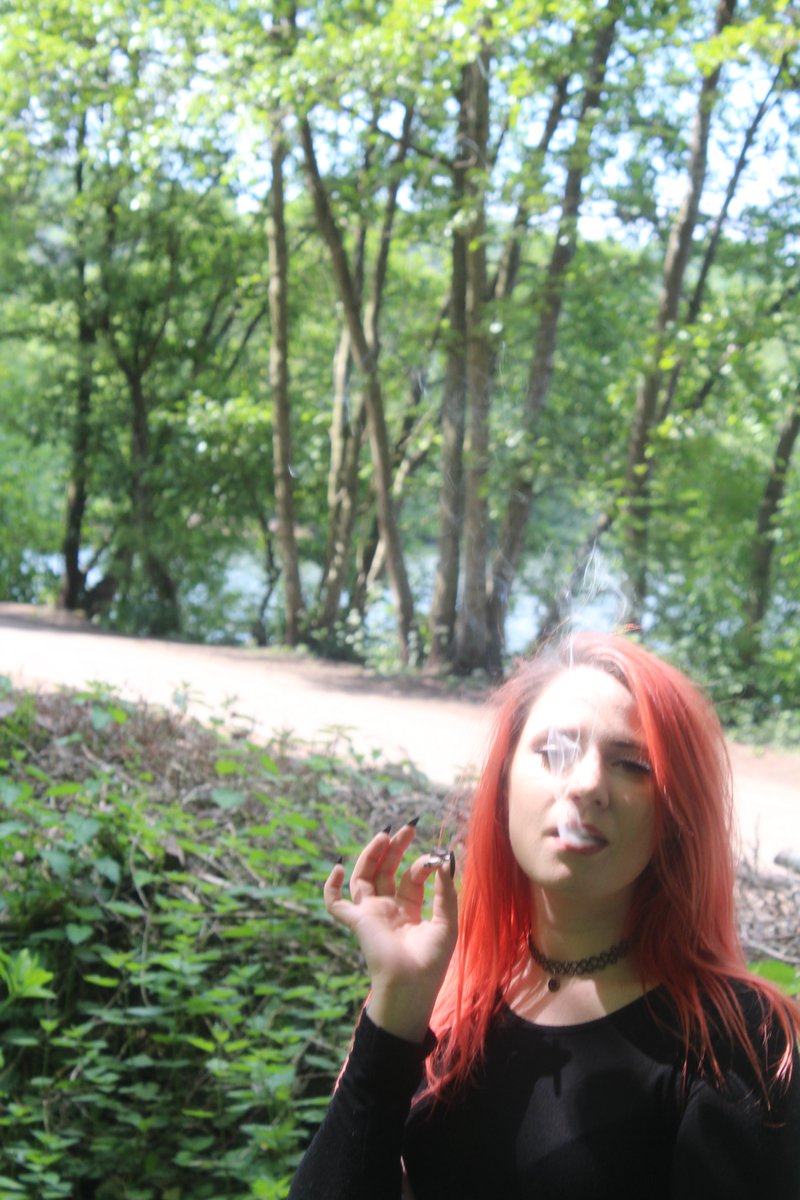 Sean Lindsay Armstrong tweet media