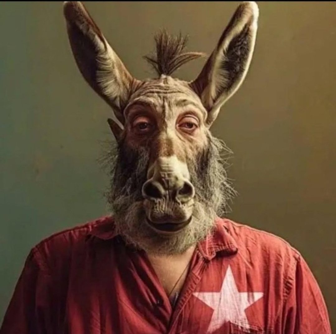 O EQUILIBRISTA tweet media