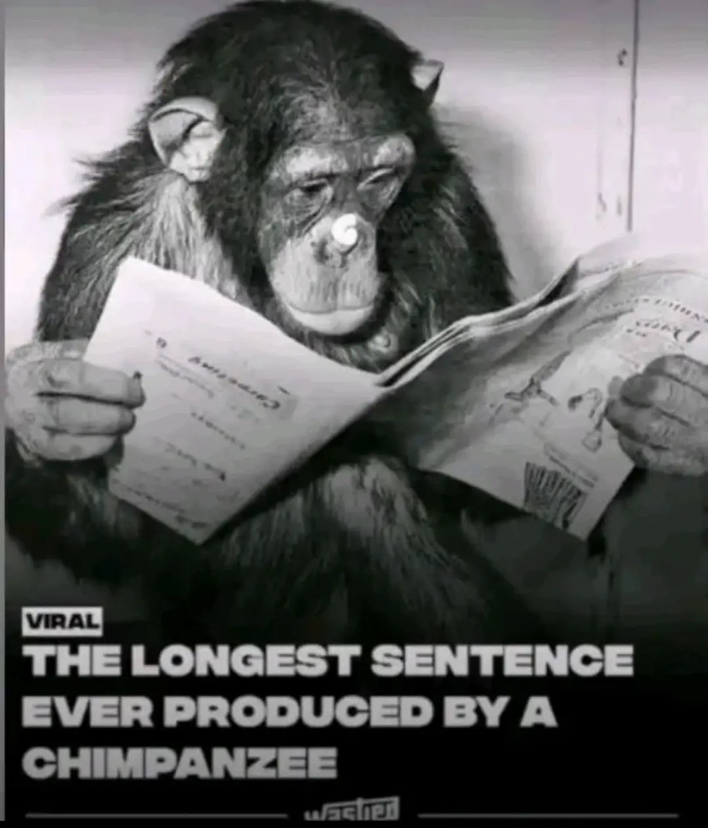 fud grok companion tweet media