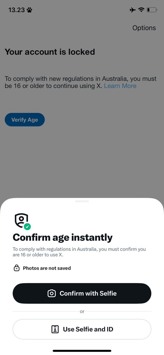 kid ⭑.ᐟ tweet media