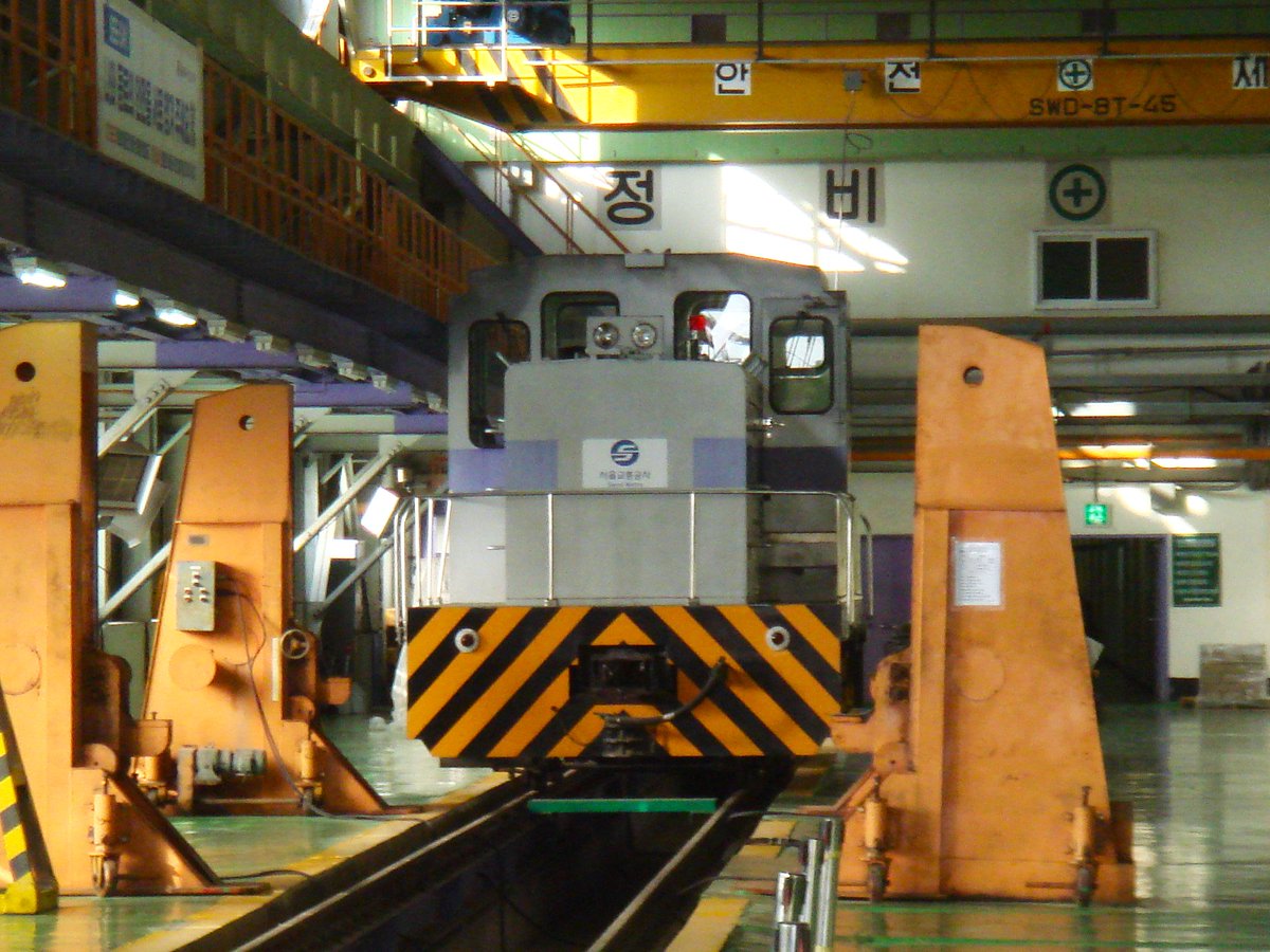 雷鳥 뇌조 tweet media