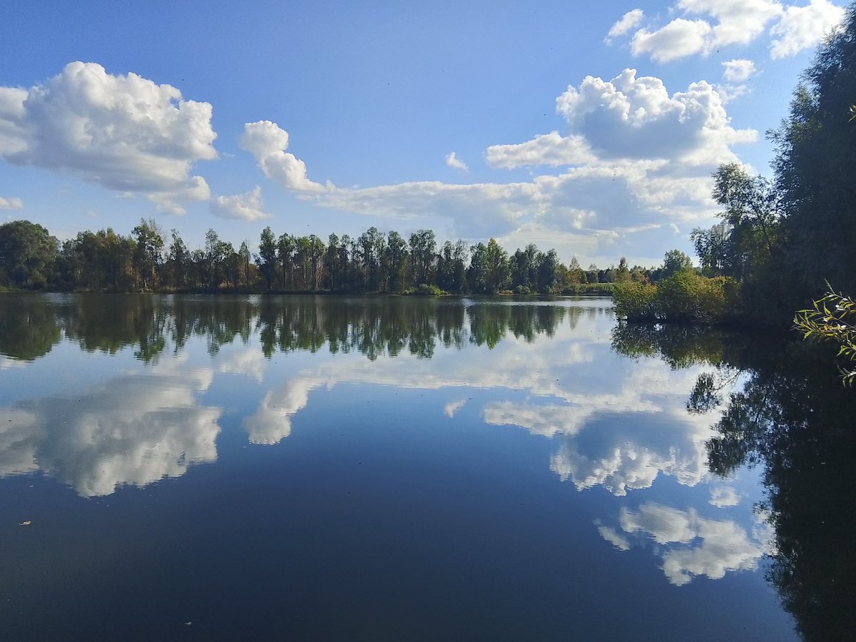 L I'AM 🅰🆁🆃 tweet media