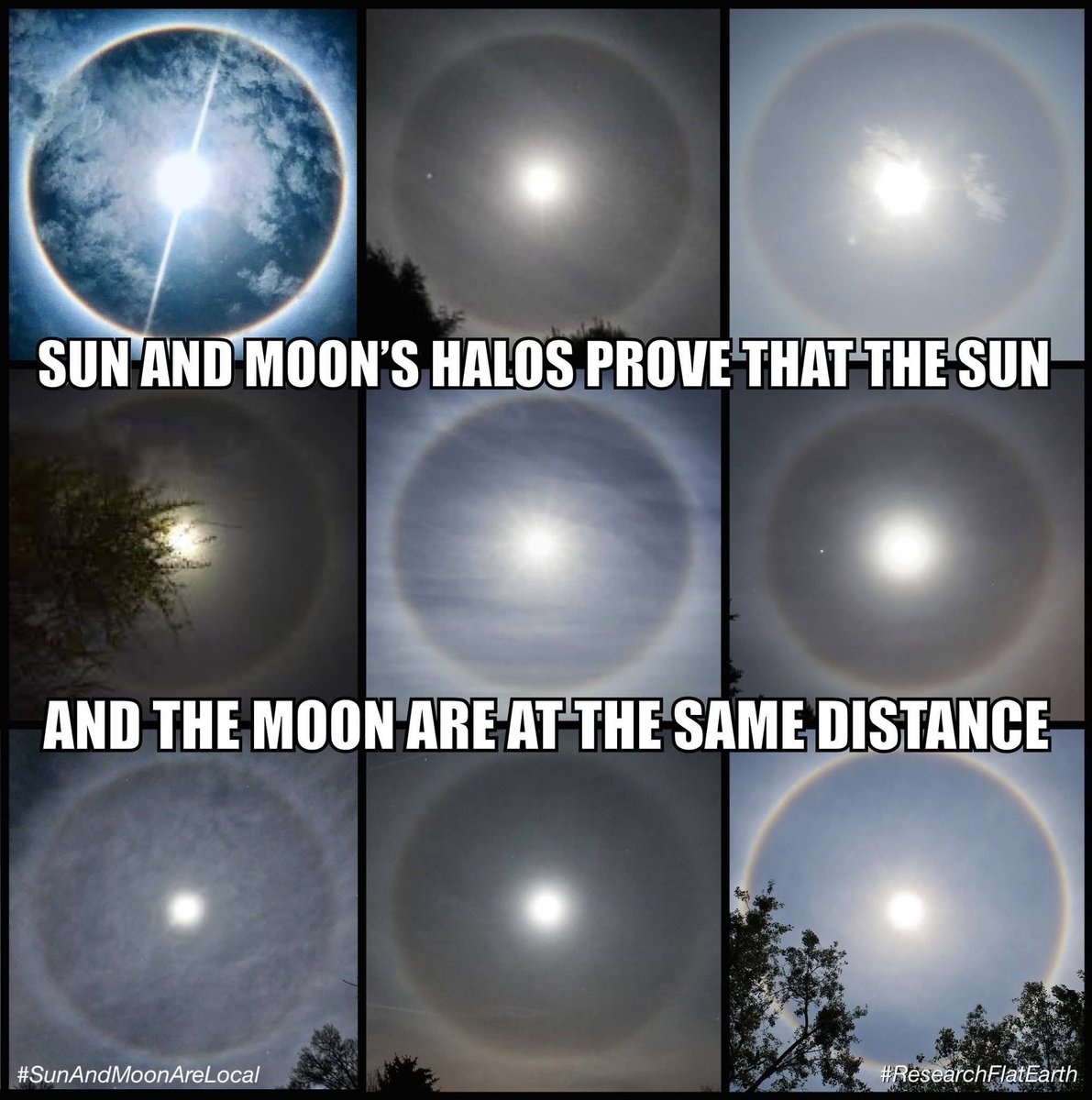 Dillon Dualy tweet media