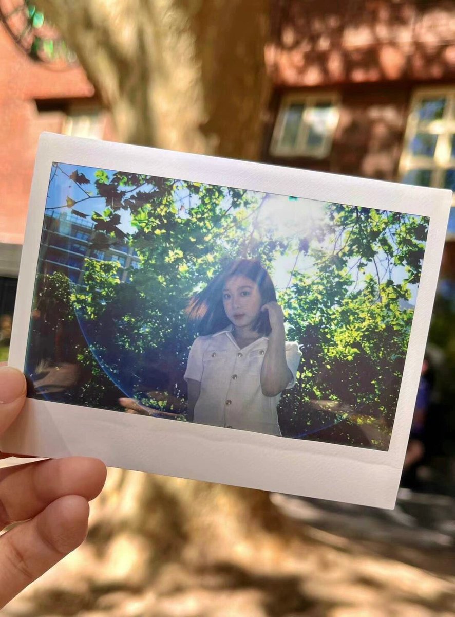 agata mazzola tweet media