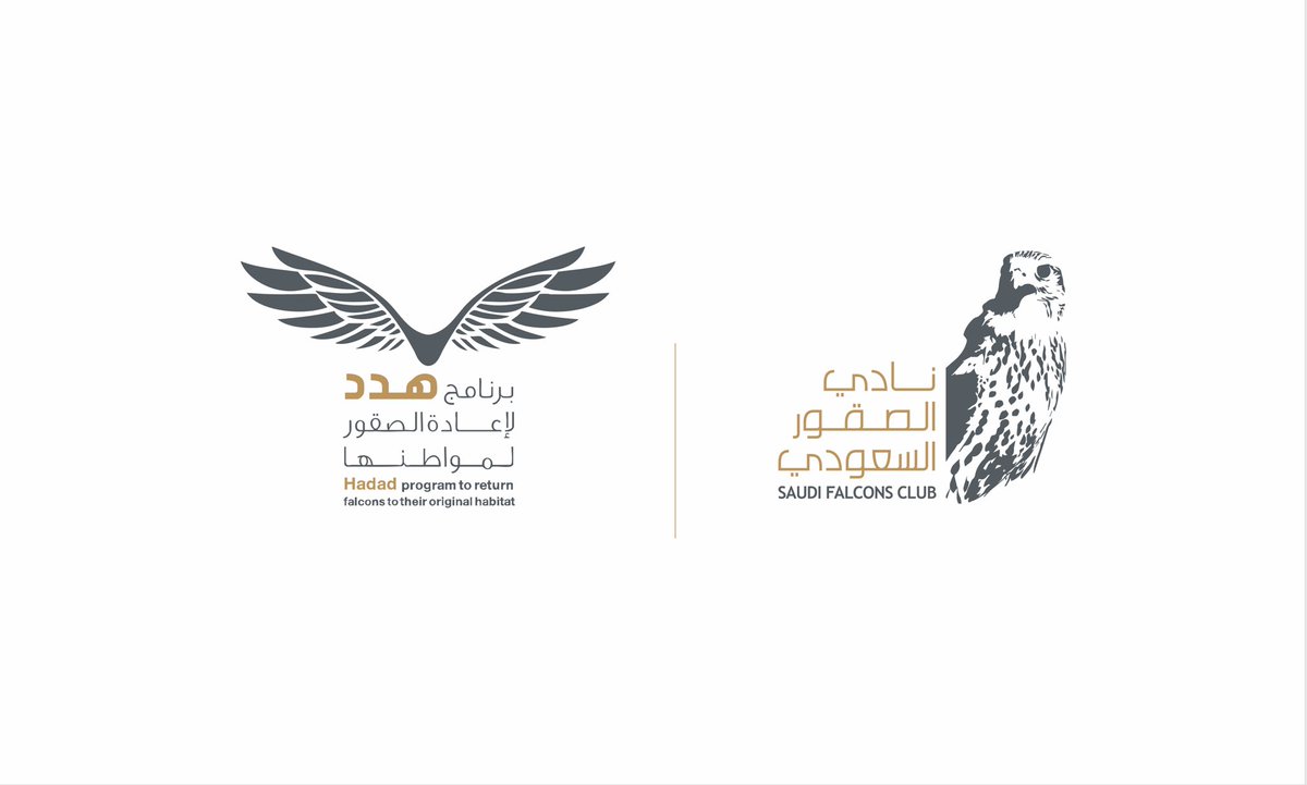 نادي الصقور السعودي يواصل برنامج «هدد» ويطلق دفعة صقور في كازاخستان ضمن جهود إعادة الموائل الطبيعية