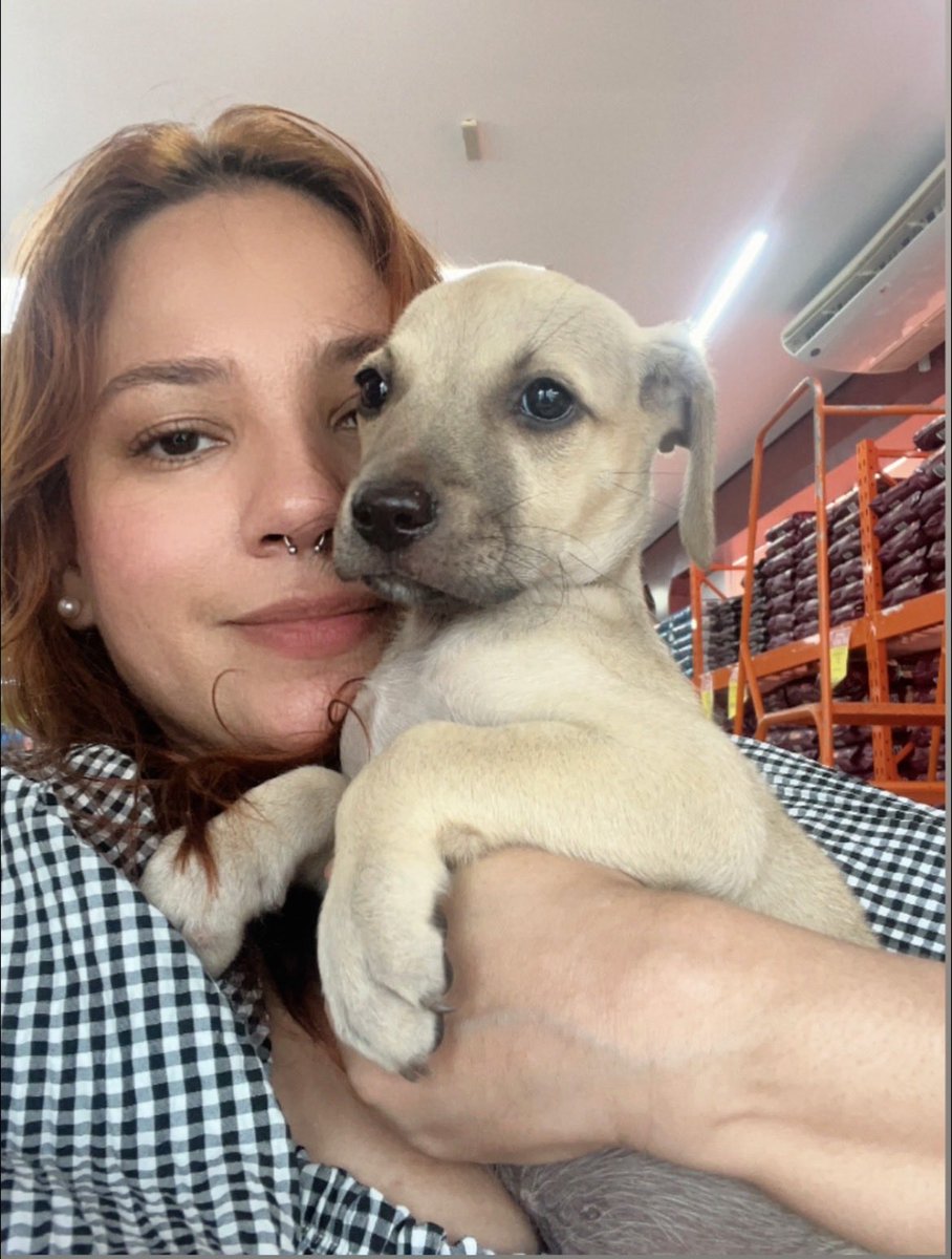 Gregor Samsa tweet media