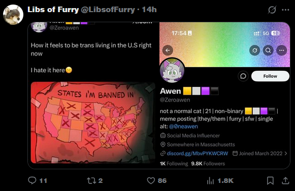 Awen 🟨⬜️🟪⬛️ tweet media