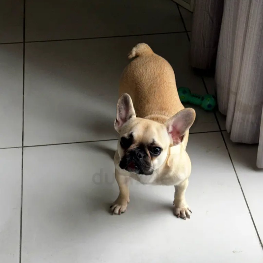 Claire Hopkin 🏴 tweet media