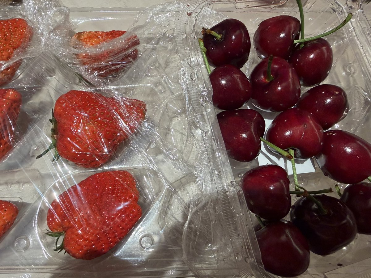 雪糕战神🍦 tweet media