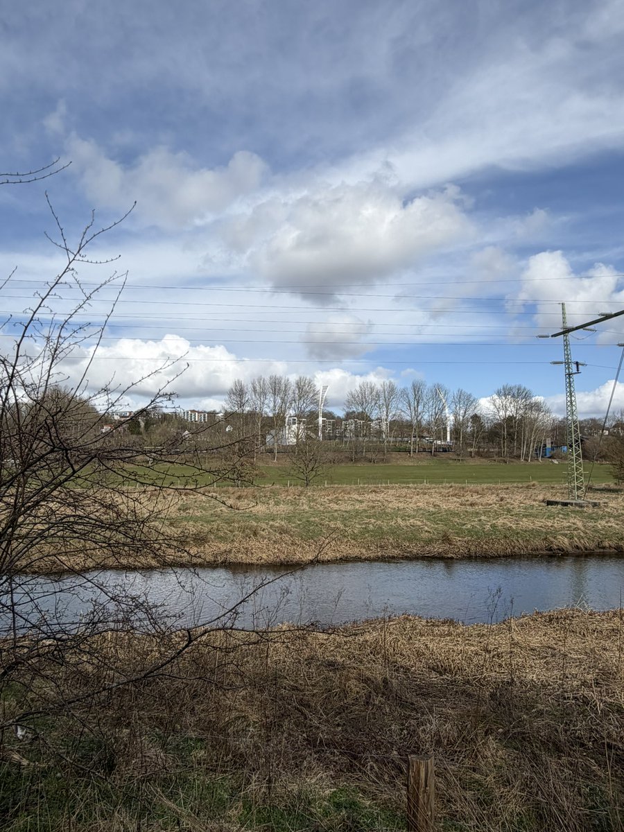 Torben Saatterup 🦇 tweet media