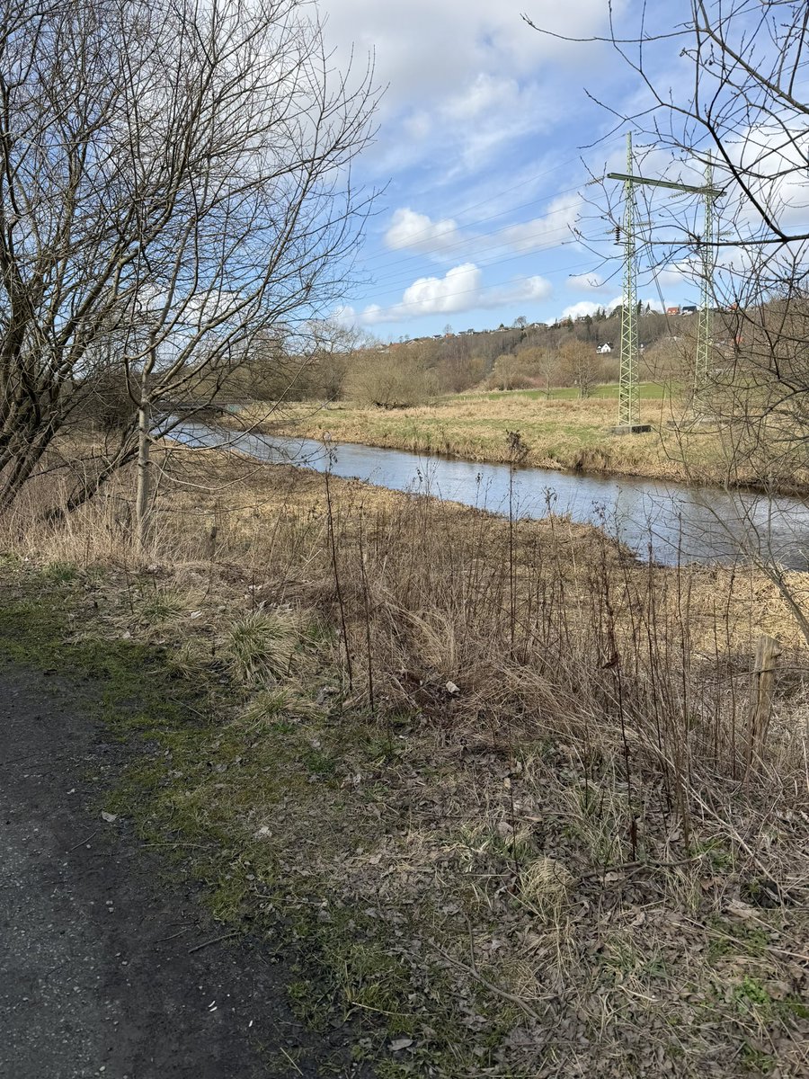 Torben Saatterup 🦇 tweet media