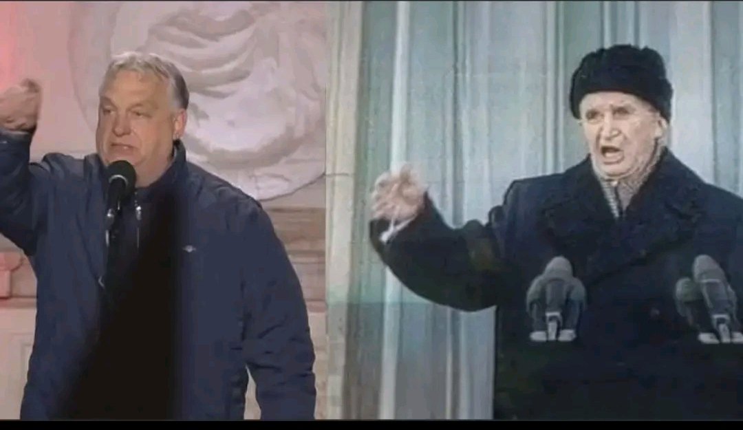 A Kritikus... tweet media