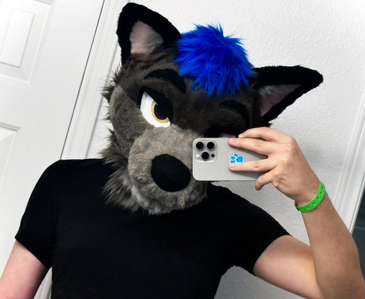 Dingo 🔜 TFF tweet media