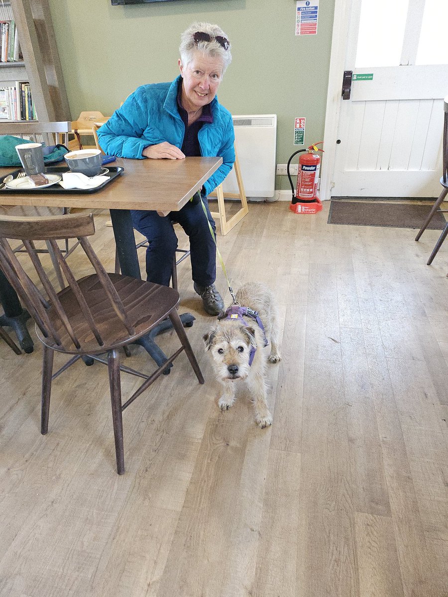 Dame Ro the border tweet media