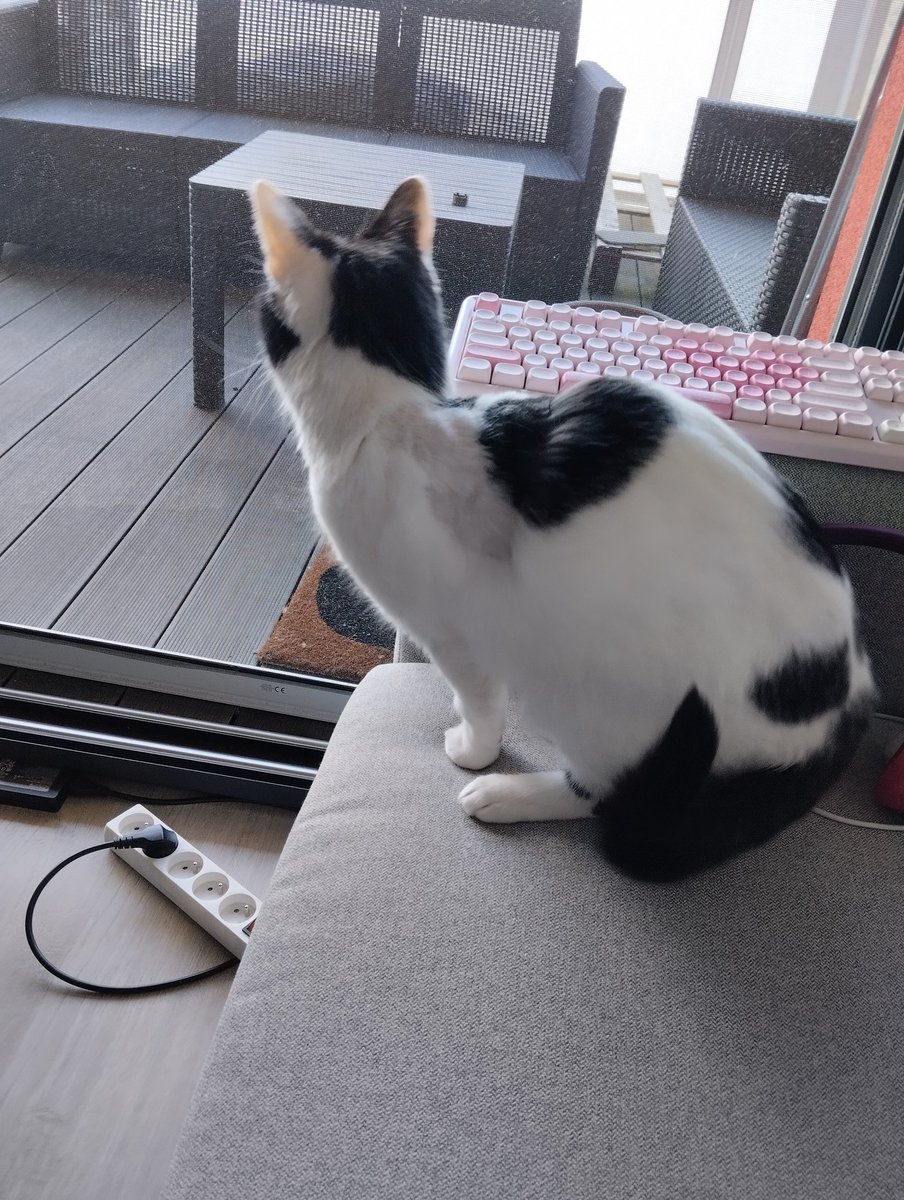 Marg 🐦‍🔥 tweet media