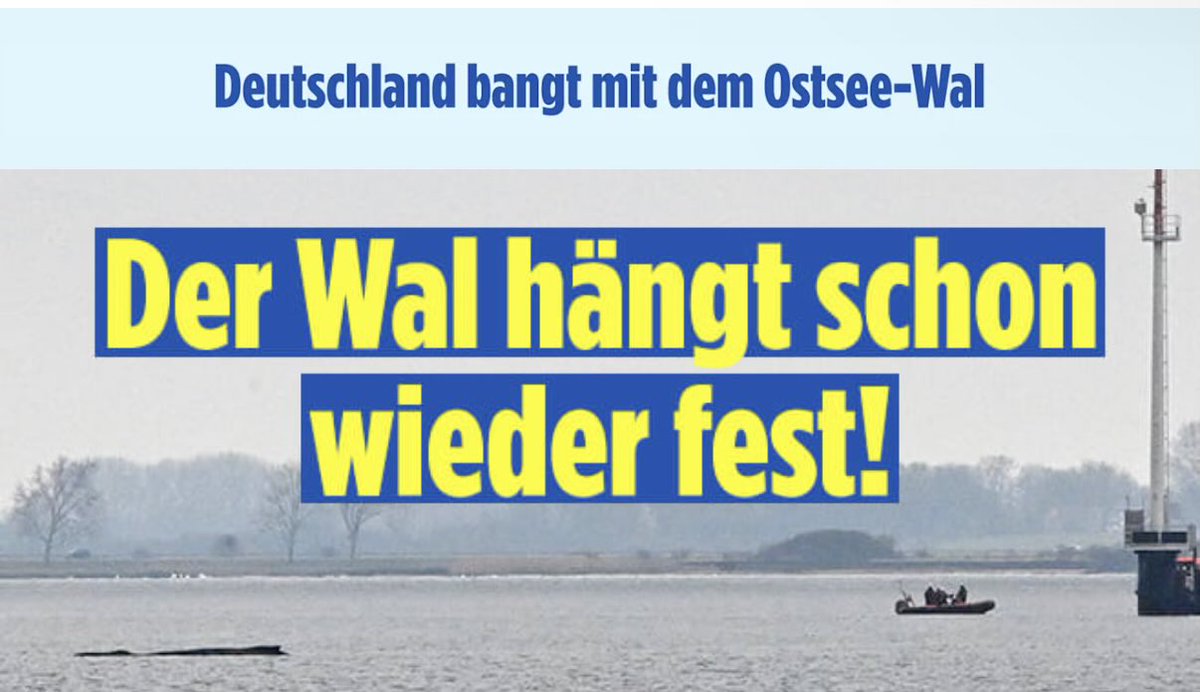 Daniel Eck 🇺🇦 tweet media