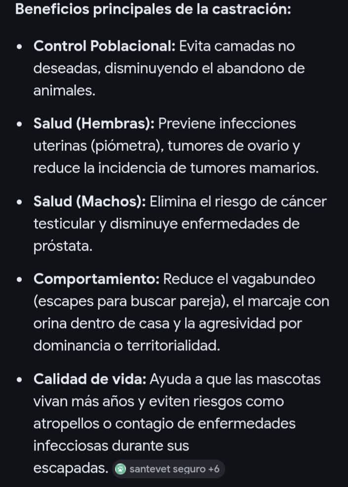 Perros de Merlo tweet media