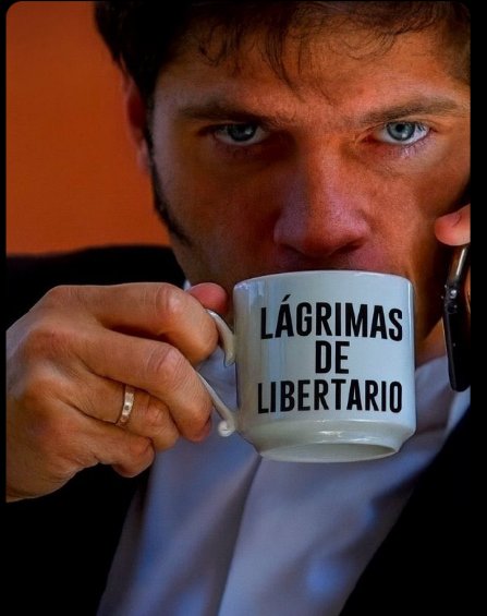 Gato del Monte tweet media