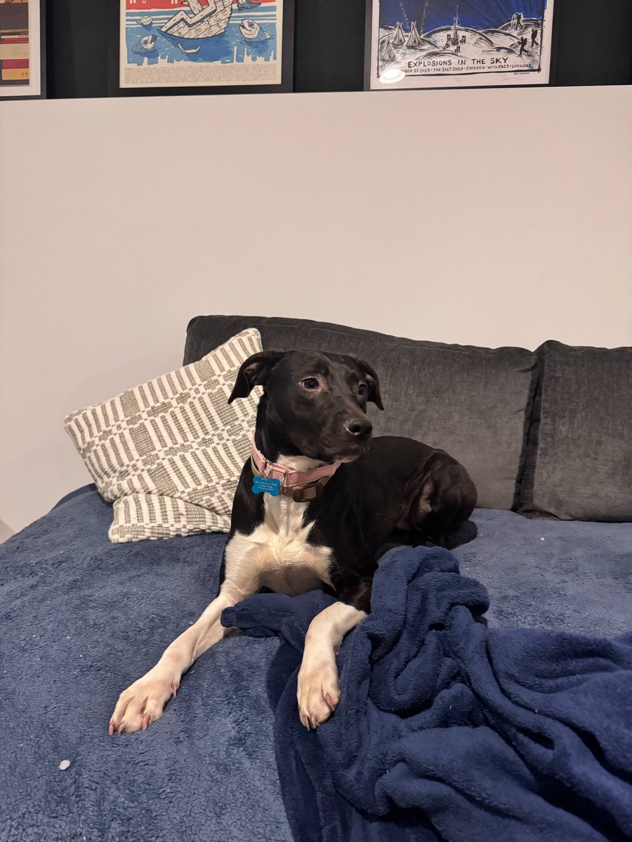 Robert Mays tweet media