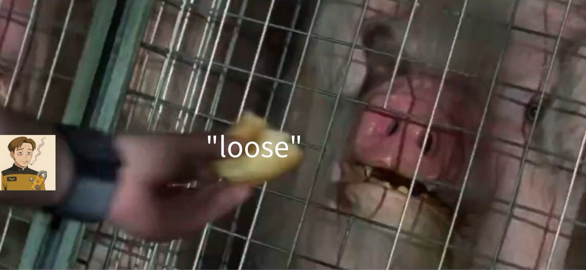 WM America🇺🇸 tweet media