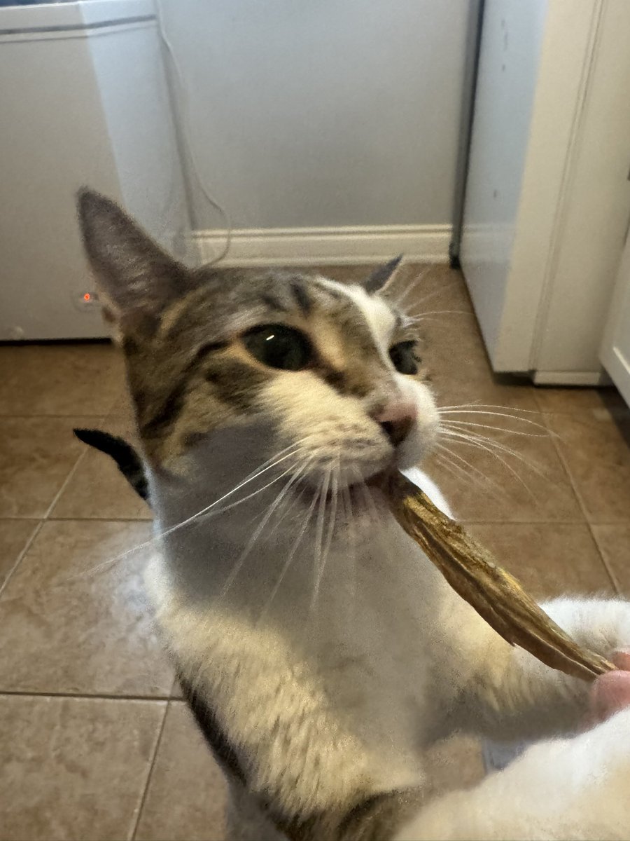 xX Spine Xx tweet media