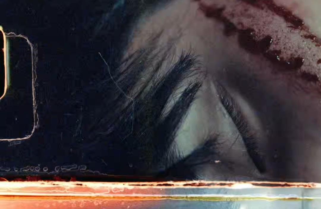 웡피리🎹 tweet media