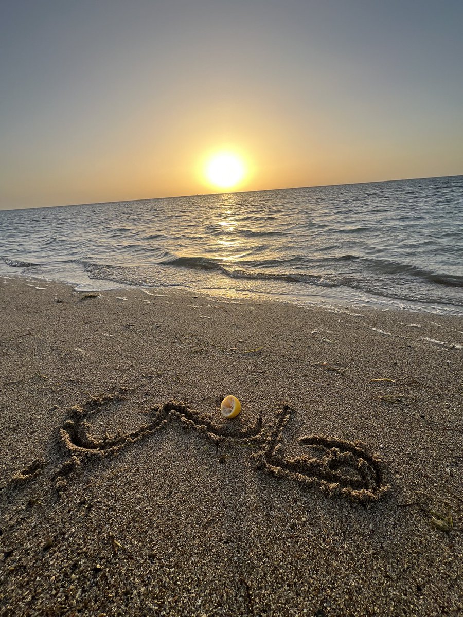 عبدالرحمن tweet media