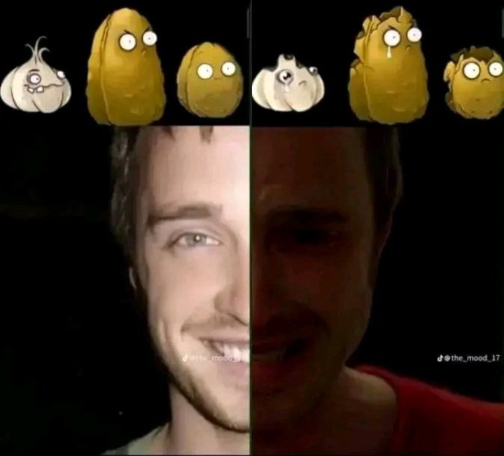 TheKing Thor! tweet media