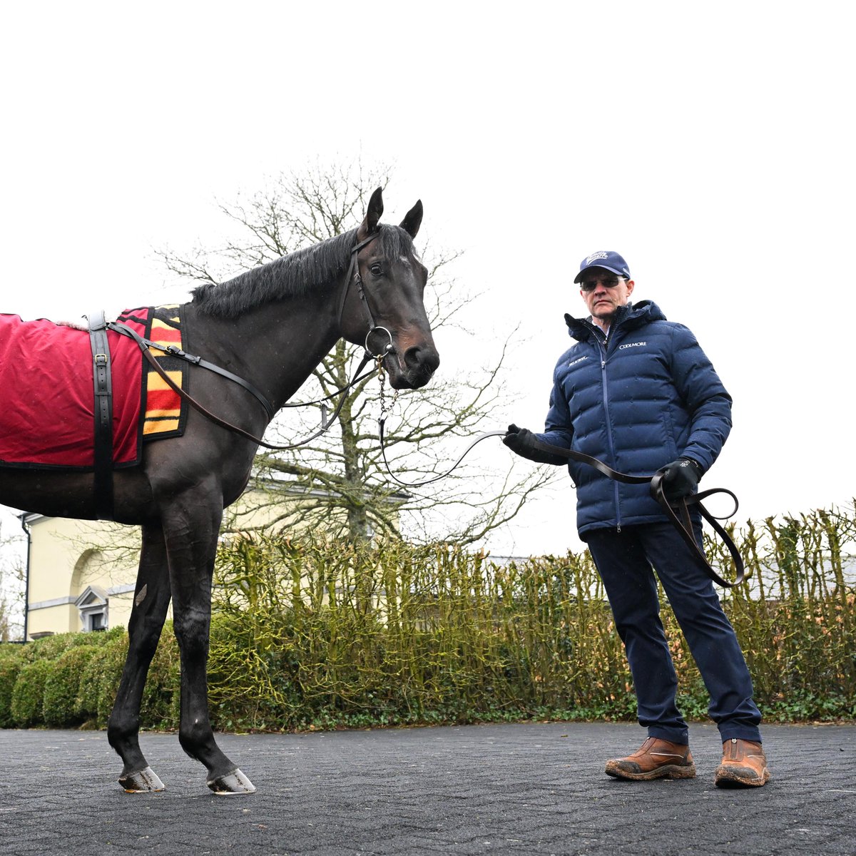 At The Races tweet media