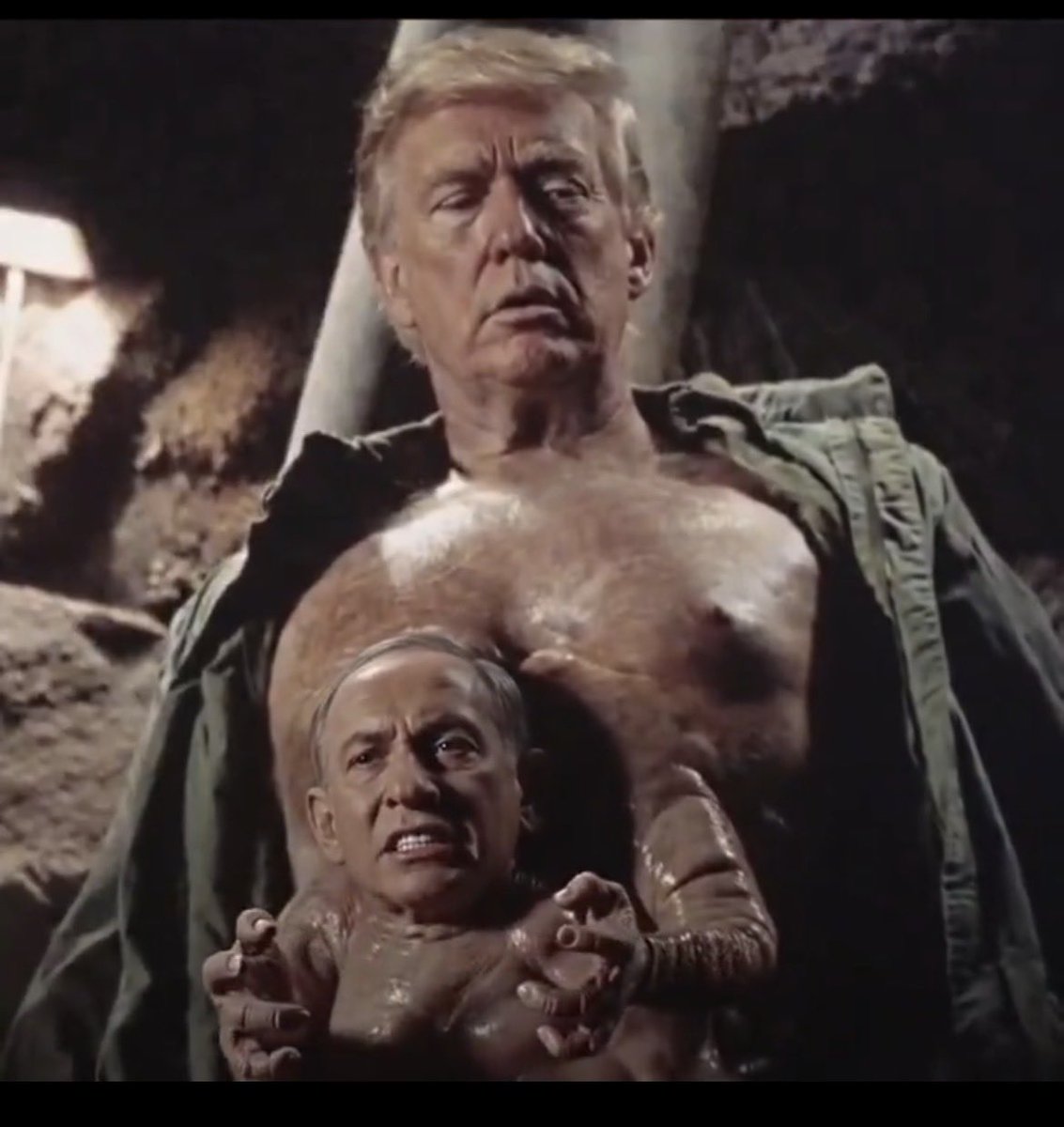 Orangeeeeeeeeee1 tweet media