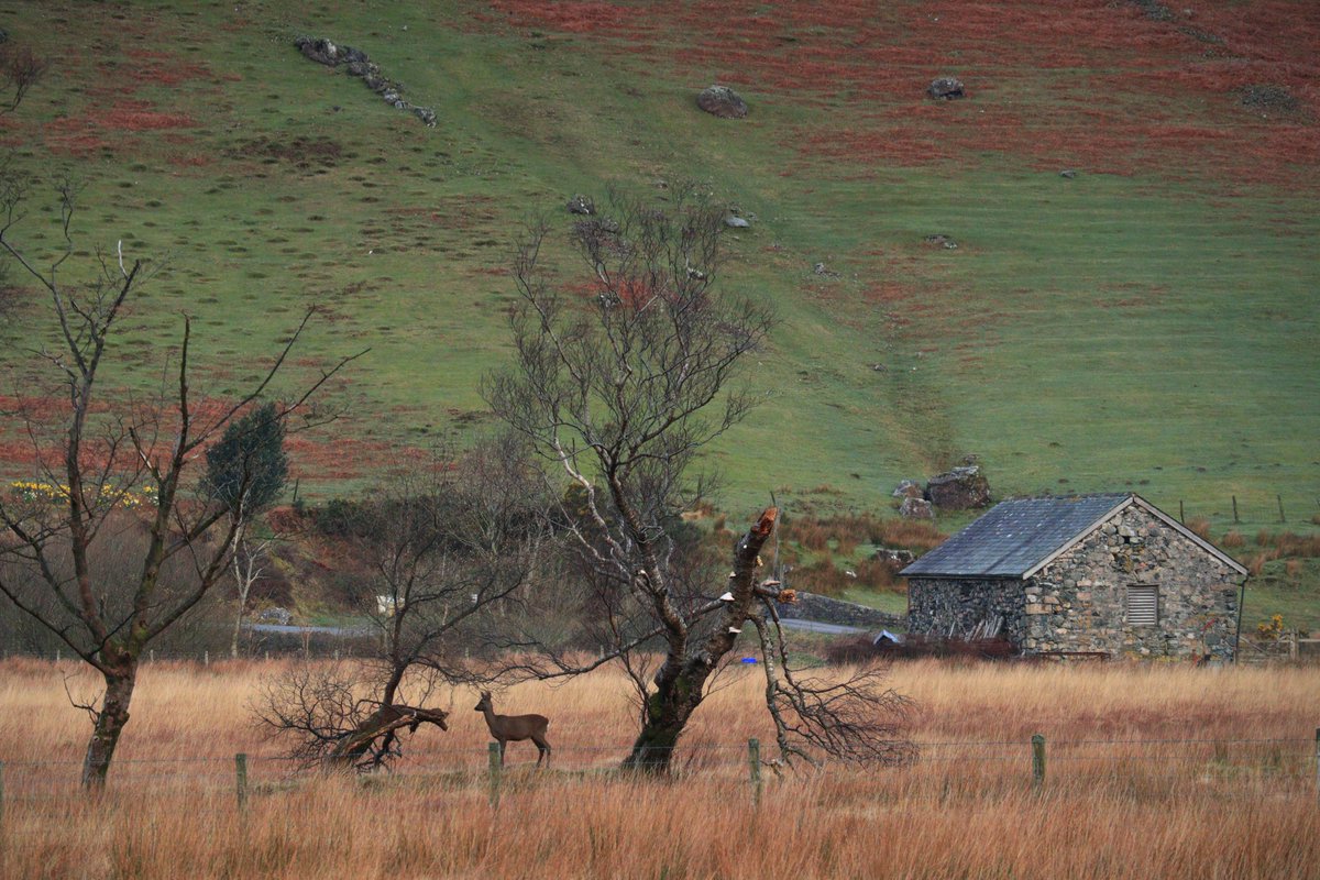 Mrs Walker-214 tweet media