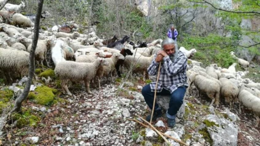 Erinni15's tweet photo. Nunzio Marcelli: la pastorizia non ha più santi in Paradiso. Appello alle istituzioni e alla società
#pastorizia 

https://t.co/t4RgzHRlYb https://t.co/DlTOmEQ2qj