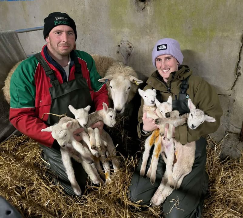 FarmingUK tweet media