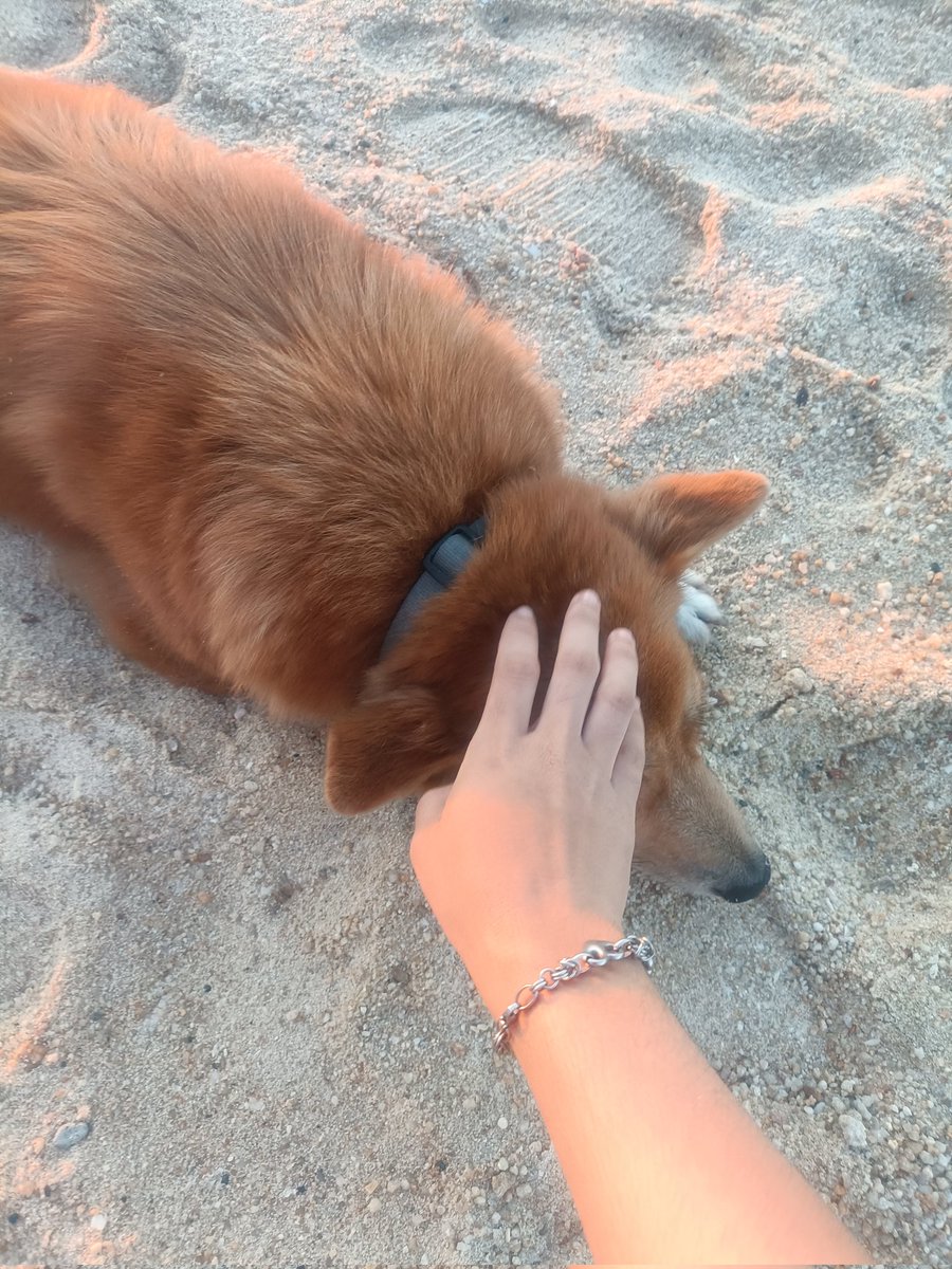 ดินสอสีไม้ 💦 tweet media