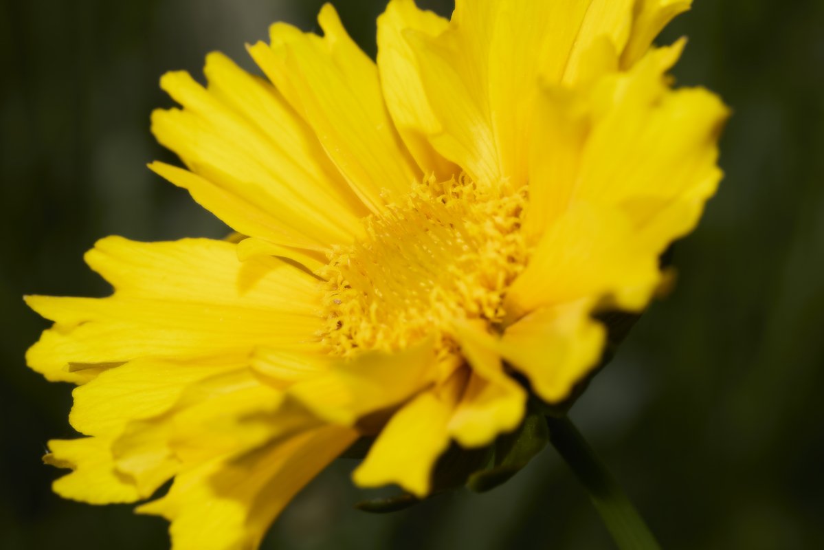 井上浩行 tweet media