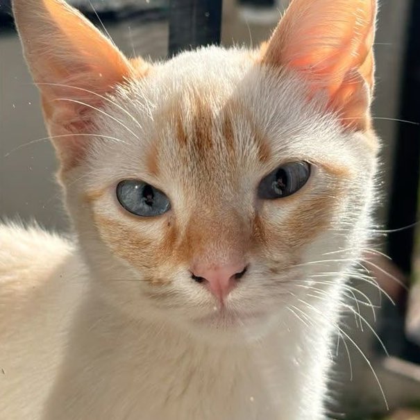 =͟͟͞♡ tweet media