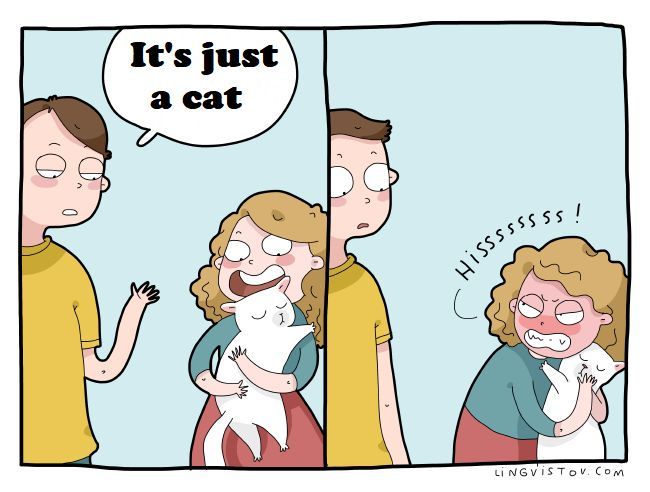 Posts Of Kittens🐾 tweet media