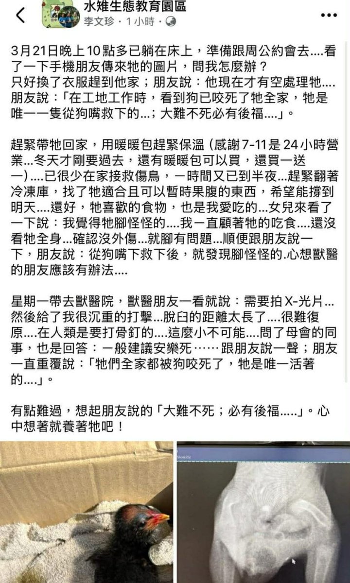 蟒龜Krieg tweet media