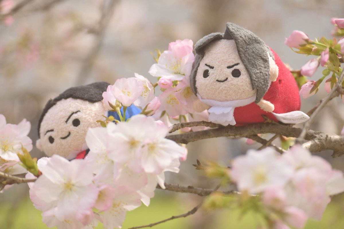 Roonie🪐️⚡ tweet media