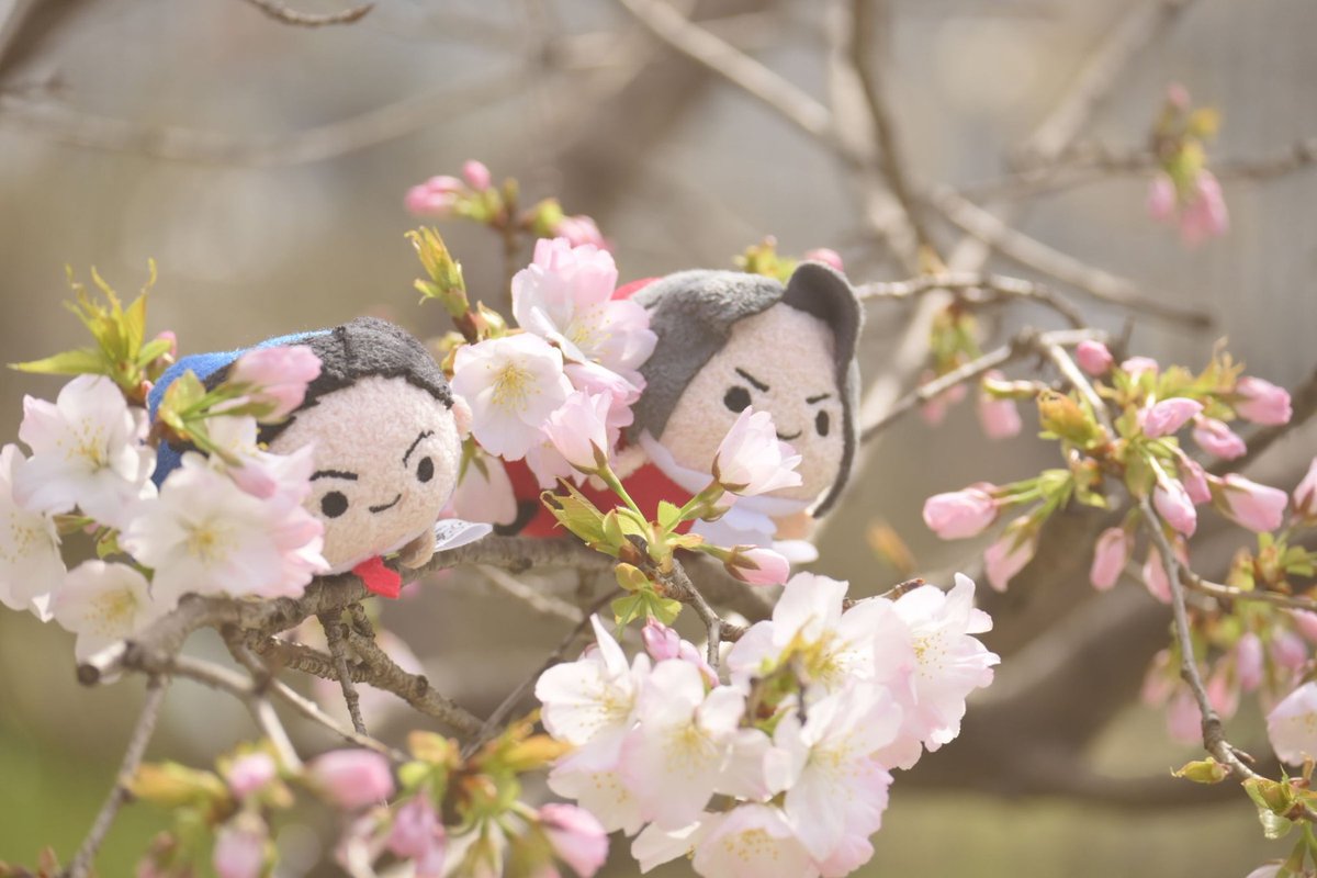 Roonie🪐️⚡ tweet media